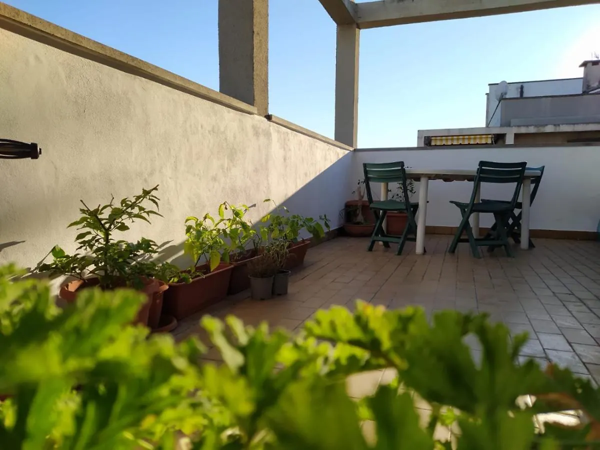Homestay Casa Gentile Apartment Pisa Italy